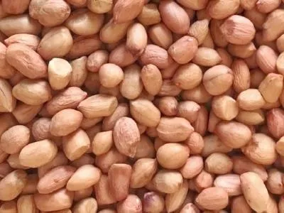Peanuts and Oilseeds